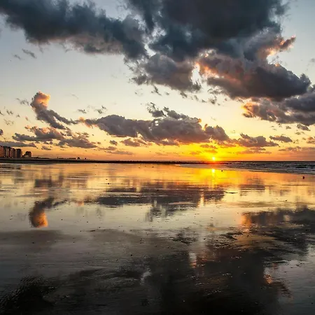 Modern Flat Near The Sea 미들케르케